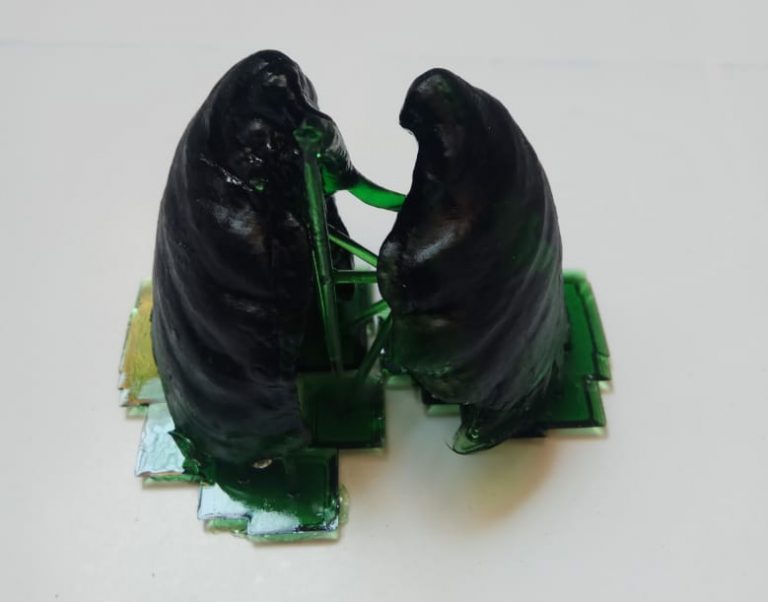 jasa cetak 3d printing paru-paru